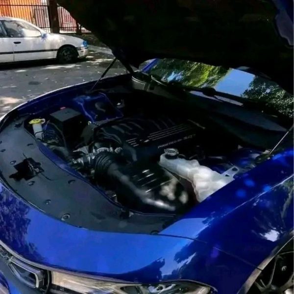 2019 Dodge Charger Scat Pack for Sale 2019 Dodge Charger Scat Pack for Sale