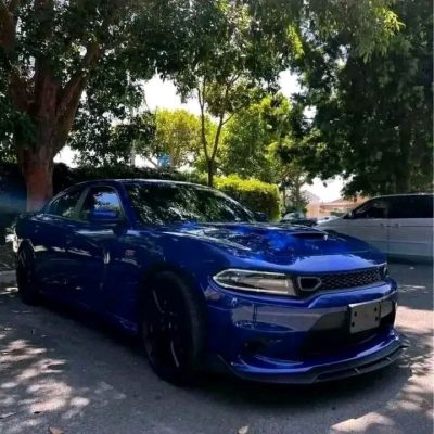 2019 Dodge Charger Scat Pack for Sale